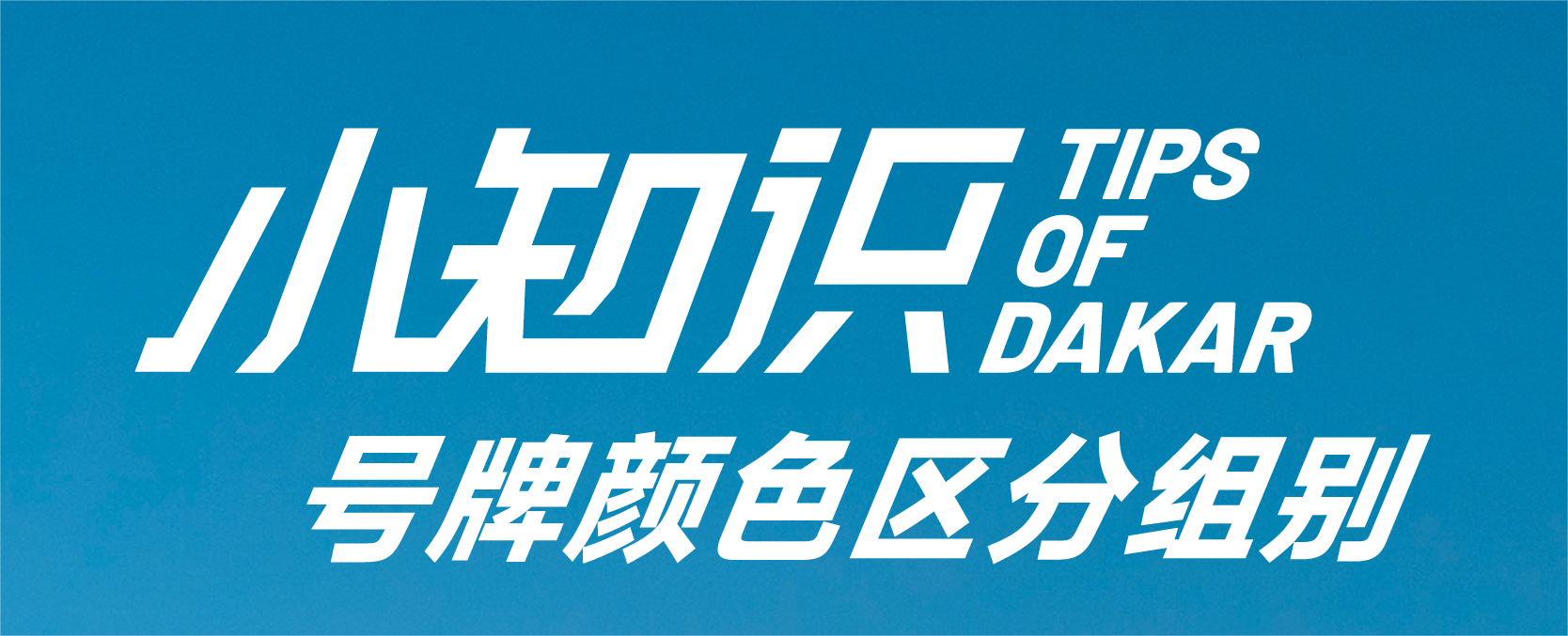 号牌颜色区分组别丨1分钟弄清楚达喀尔组别